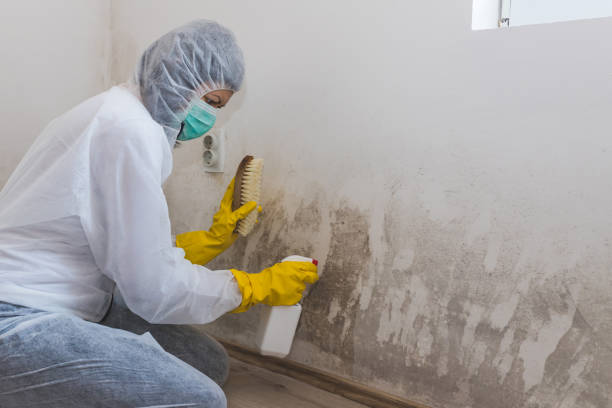 Best Emergency Mold Removal  in Fearrington Village, NC