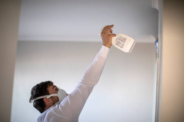 Best Affordable Mold Removal  in Fearrington Village, NC