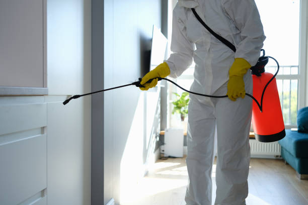 Best Office Mold Removal Services  in Fearrington Village, NC