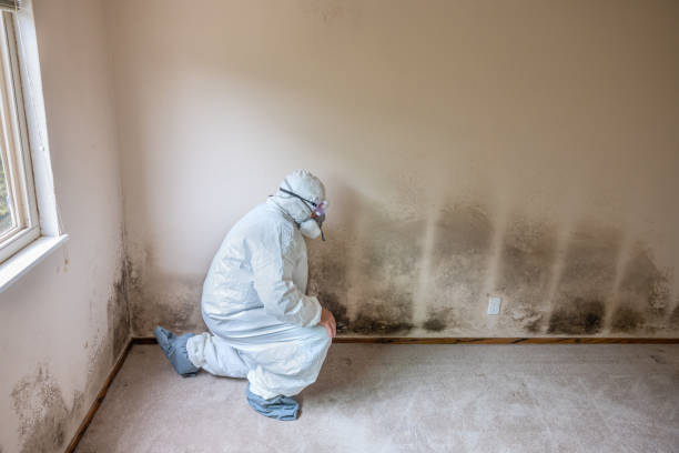 Best Mold Testing  in Fearrington Village, NC