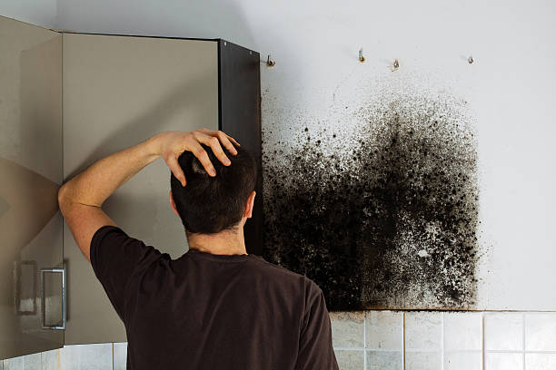 Best Commercial Mold Removal  in Fearrington Village, NC